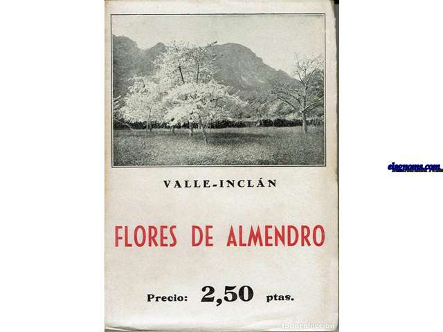 Flores de almendro.